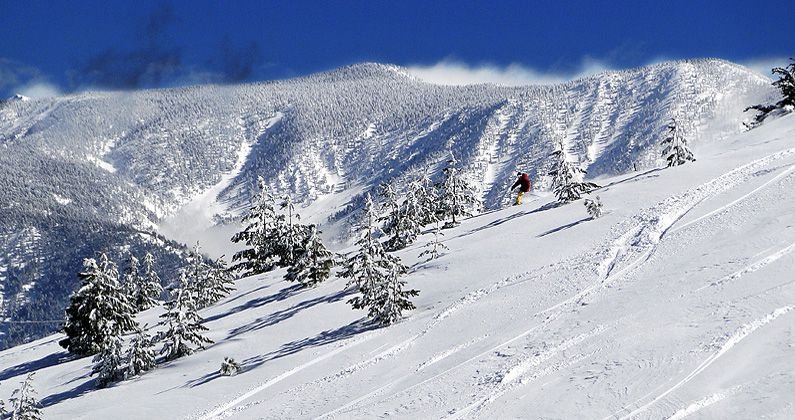 The 9 Best U.S. Family Ski Resorts of 2022