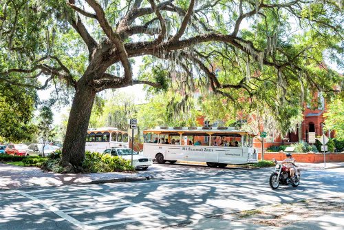 The Best Day Trips From Charleston