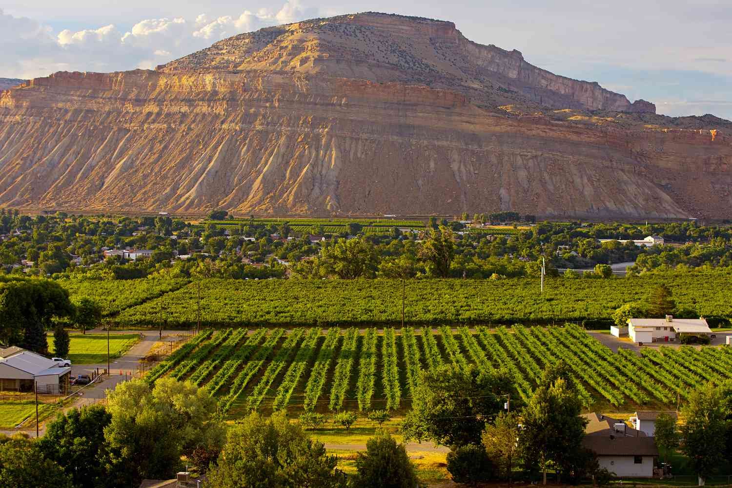 8 Romantic Wine Trails and Towns in the United States