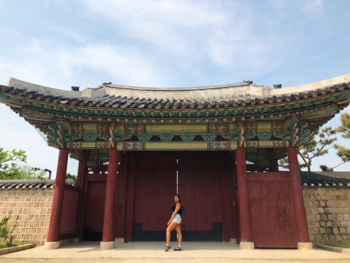 How a Solo Trip to South Korea Turned Into a Social Experiment