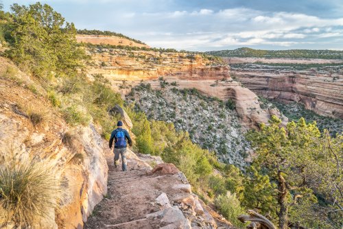The 13 Best Things to Do in Grand Junction, CO