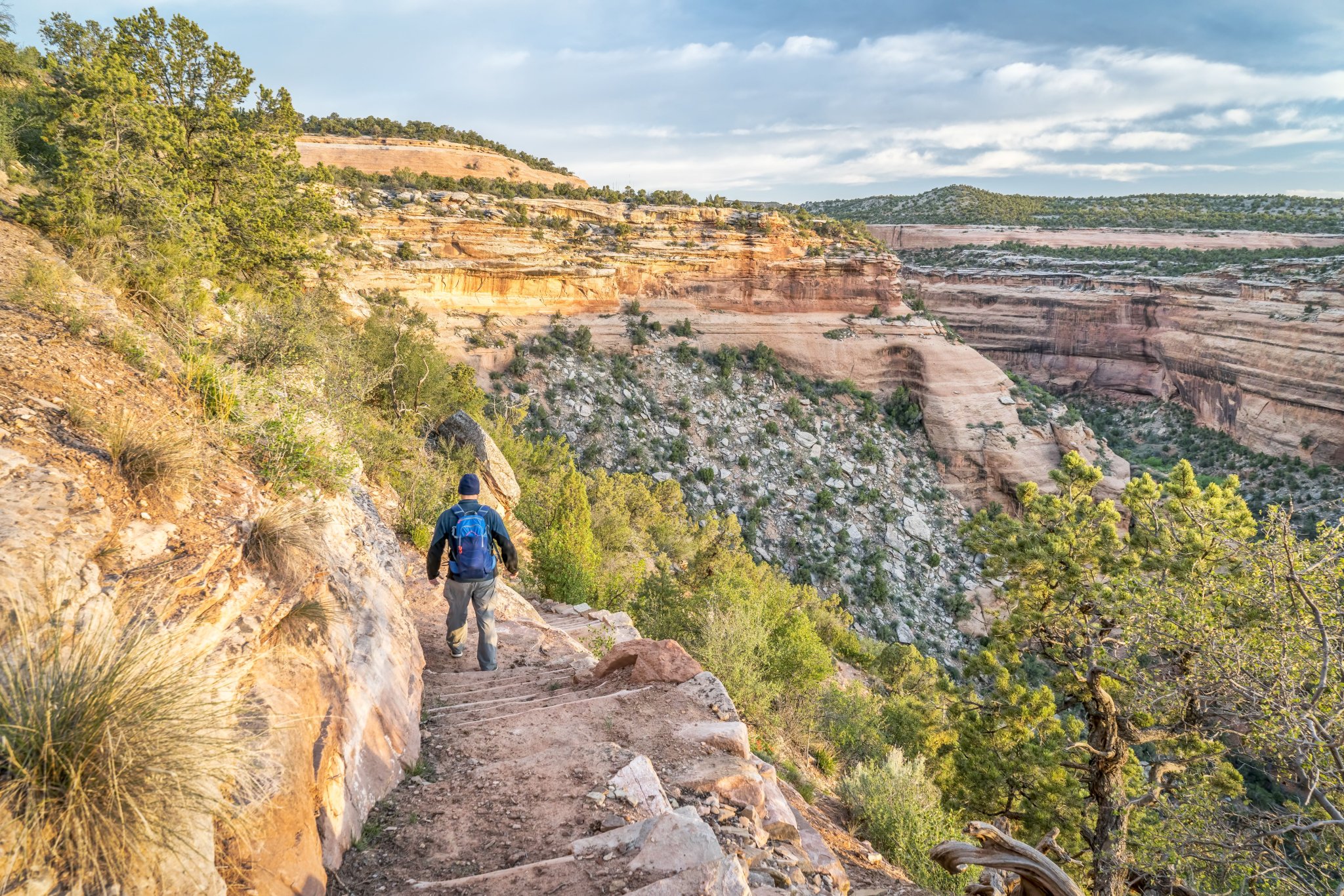Grand Junction CO 13 Best Things To Do In Sportings News
