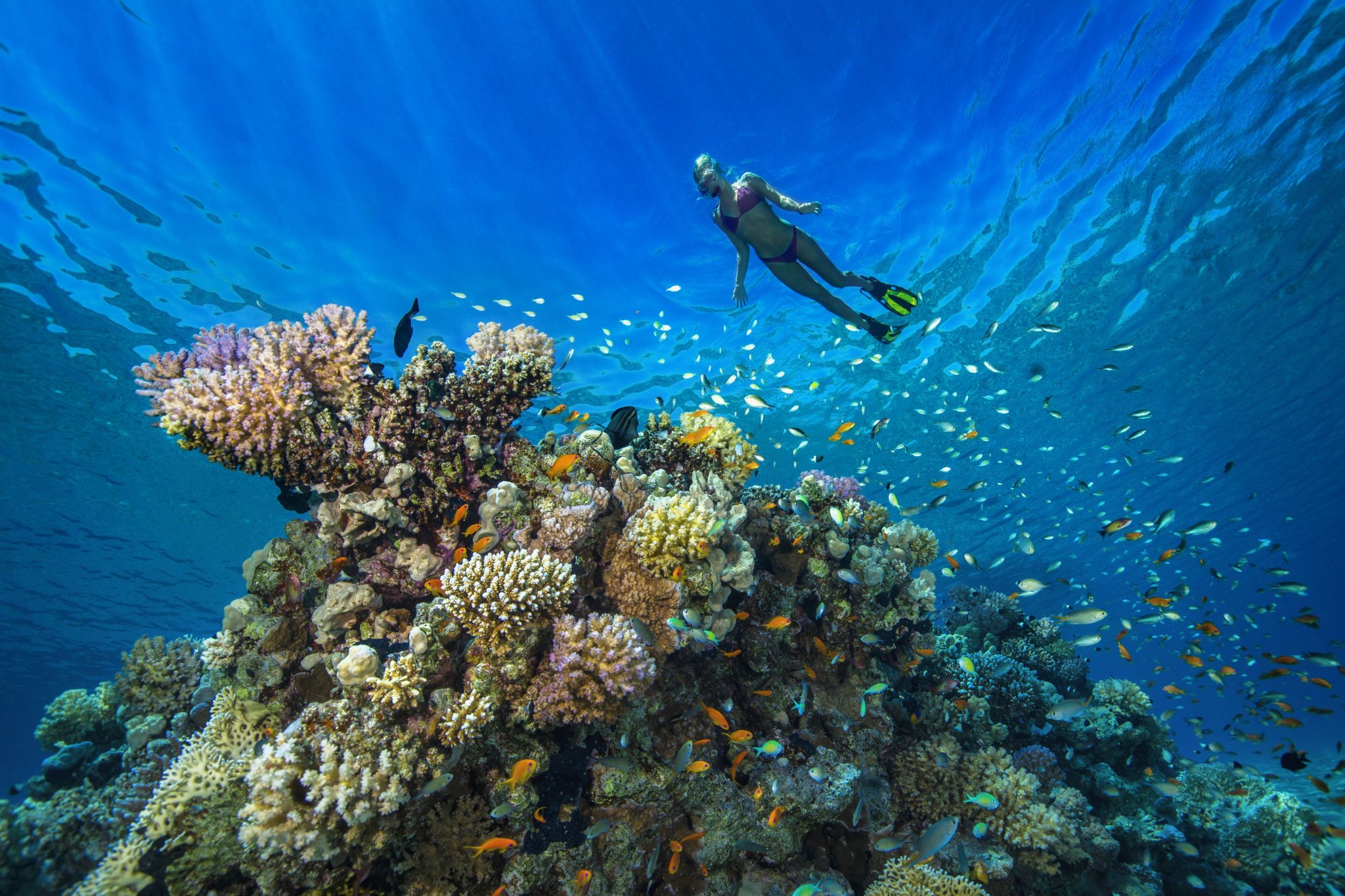Use These 10 Tips to Make Your Snorkeling Trip Unforgettable