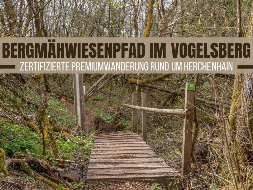 Bergmähwiesenpfad im Vogelsberg: Premiumwanderung bei Herchenhain