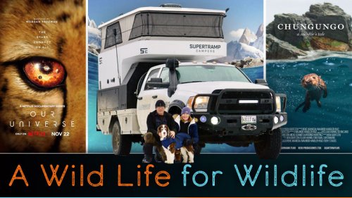 A Wild Life For Wildlife - Aquaterrafilms- Truck Camper Magazine