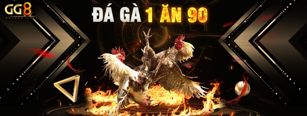 Trực tiếp đá gà - cover