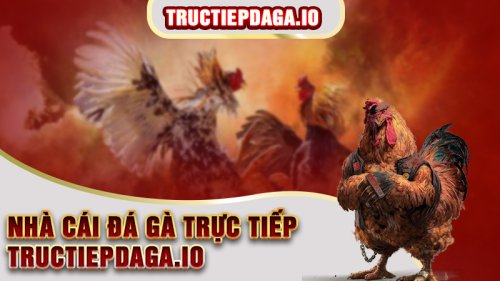 Trực tiếp đá gà Campuchia bình luận viên mới nhất hôm nay