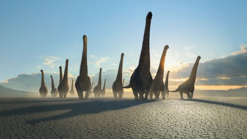 How to stream Prehistoric Planet: Where can you watch the new series?