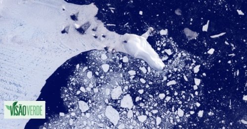 Visão | O colapso do “Glaciar do juízo final” pode causar uma subida catastrófica do nível do mar