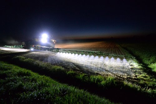 Industrialized Farming Has Unleashed an Insect Apocalypse