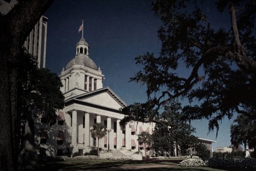 Proposed Florida Bill Could Allow “Legal Kidnapping” of Trans Children