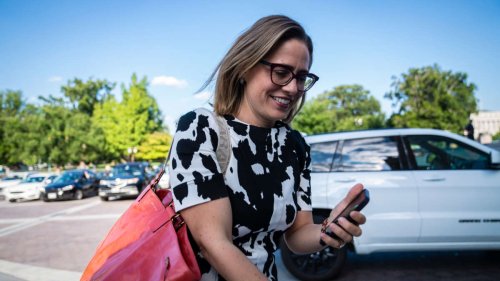Sinema Met With Her Many Private Equity Friends Ahead of IRA Vote