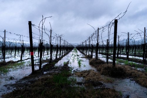 Migrant Farmworkers Have No Safety Net in the Face of Catastrophic Flooding
