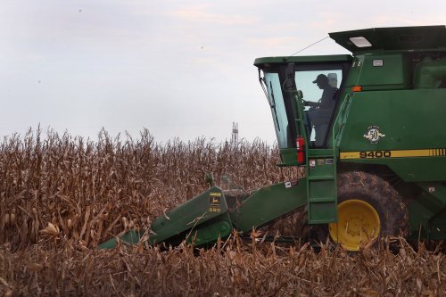 When Trump Ended a Program Feeding Californians in Need, Farmers Fought Back