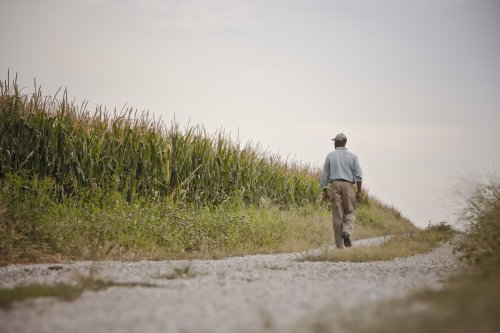 Trump Loyalists Are Behind Lawsuits Excluding Farmers of Color From Debt Relief