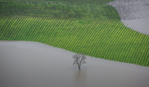 Corporate Agribusiness Is Blocking Important Action on the Climate