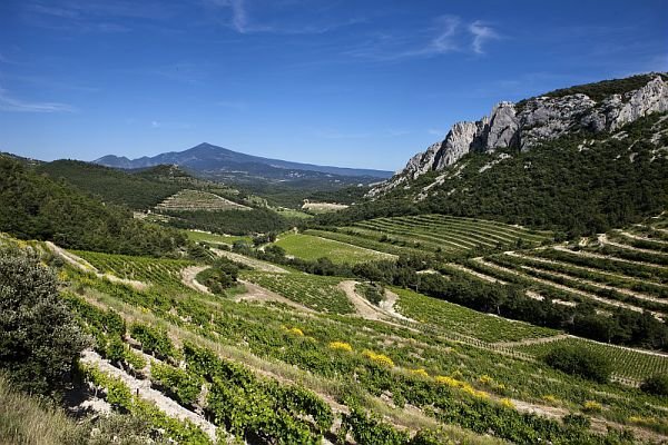 Le grand blanc des Dentelles