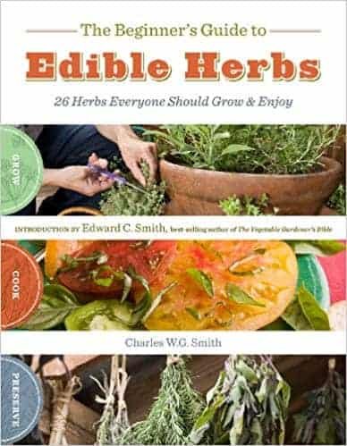 The Beginner’s Guide to Edible Herbs