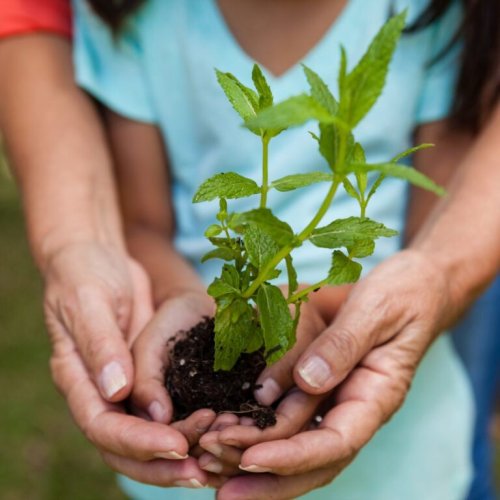 Lessons From The Garden: 10 Things You Learn Playing in the Dirt
