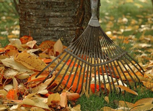 Preparing Your Lawn and Garden for Fall