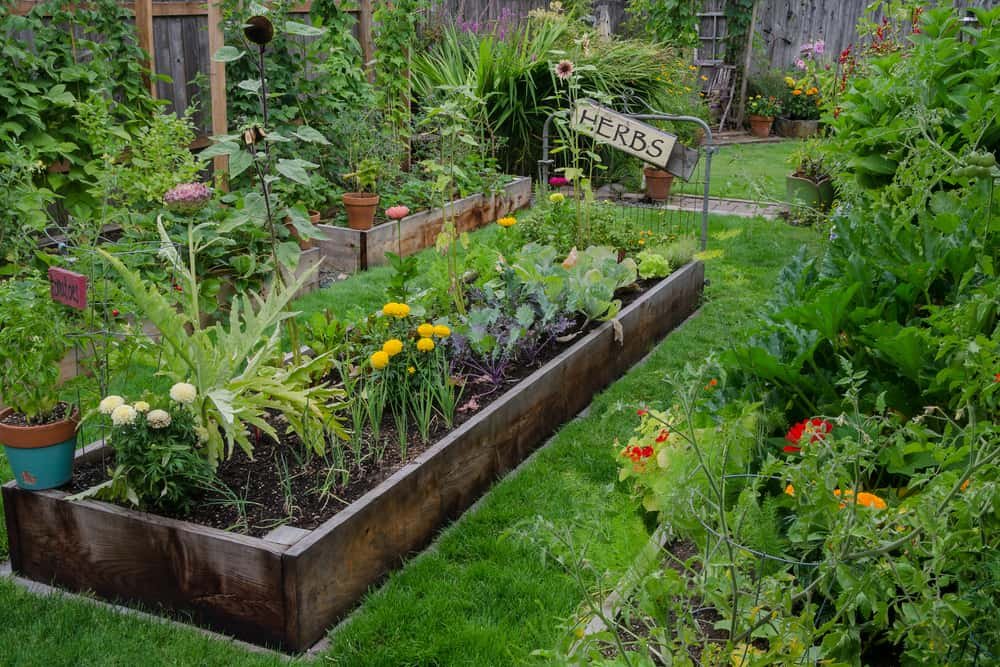Gardening Tips and DIYs