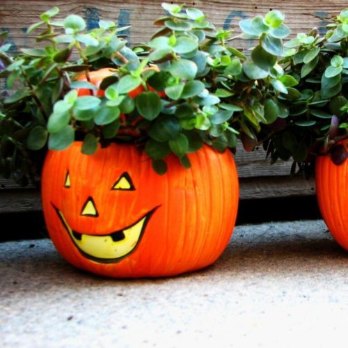 Eco Friendly Halloween Ideas