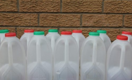 15 Creative Ways to Reuse Plastic Milk Jugs