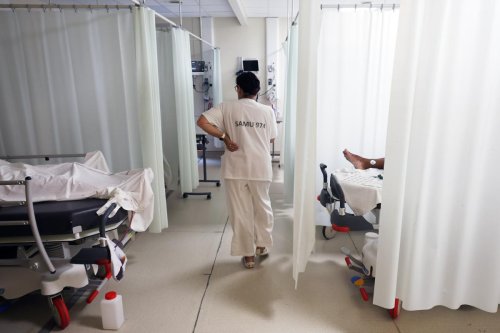 Chikungunya: la sécurité du vaccin continue à poser question