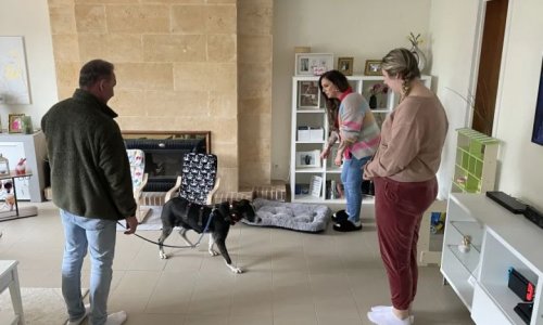 Daniela Büchner zeigt sich herzlos und gibt Hund kein neues Zuhause