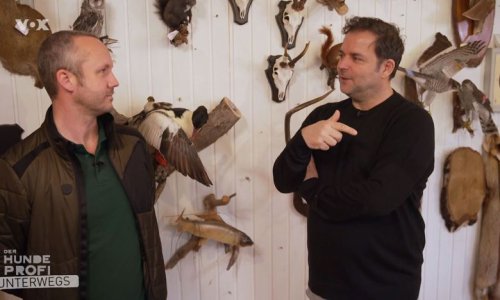 „Hundeprofi“ Martin Rütter legt sich mit Hobby-Jäger an