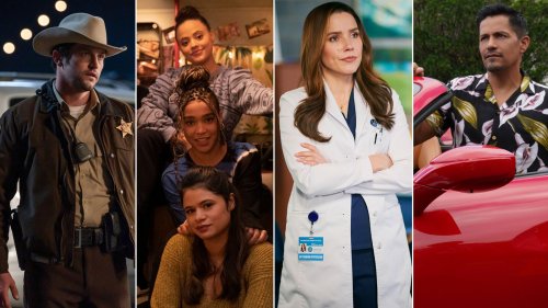 20 Broadcast TV Shows That Just Got Canceled