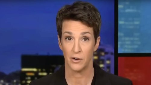 MSNBC: Rachel Maddow’s Real Ratings Revealed Since Trump Win