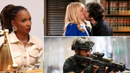 Ranking the Likelihood of 11 2025 Canceled Shows Being Saved