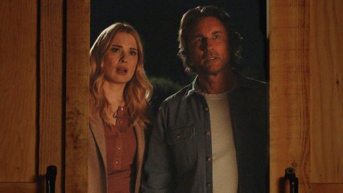 Virgin River's Martin Henderson Weighs In On Mel And Jack's Constant Suffering, Reveals One Storyline He 'Did Not Support'
