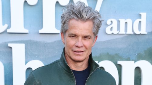 5 Best Timothy Olyphant TV Shows, Ranked
