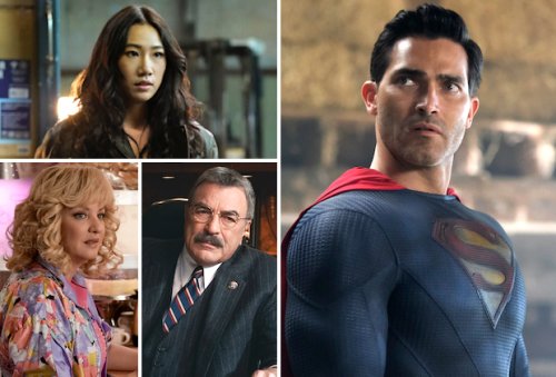 Cancellation Jitters: 13 Shows in Limbo on ABC, CBS, Fox, NBC and The CW