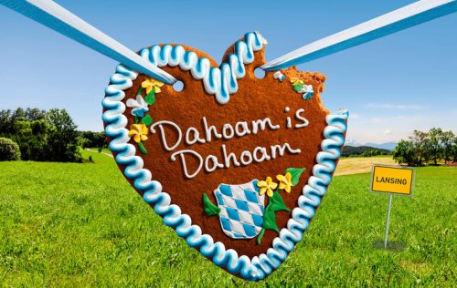 "Dahoam is Dahoam"-Neuzugang sorgt für Wut: "Tiefpunkt von DiD"