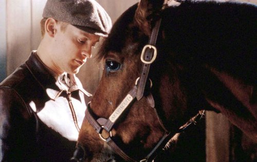 „Seabiscuit“-Pferd stirbt im Alter von 24 Jahren