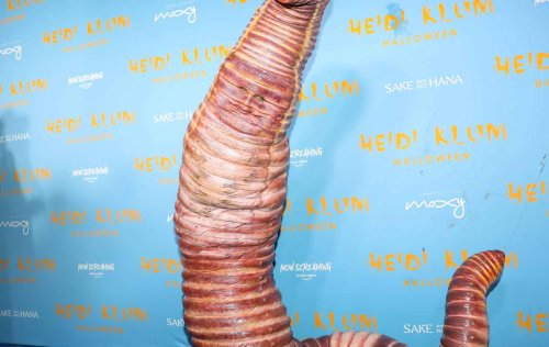 Heidi Klum feiert Comeback als Wurm - diesmal allerdings in sexy