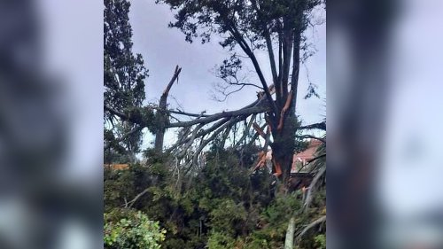 Auckland tornado ‘very significant’ for New Zealand – meteorologist