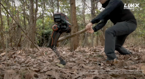China's AI robot tested on walk through rough forest terrain: stumbles, trips, but doesn't fall