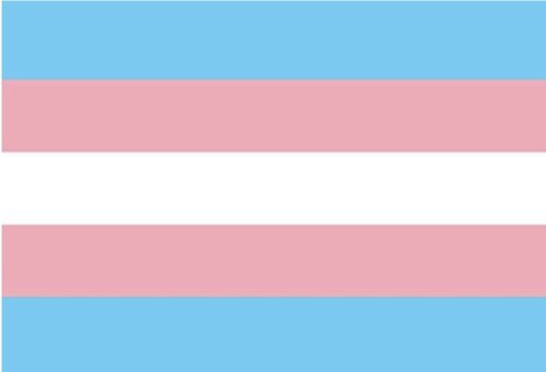 I am in firm solidarity with transgender Arizonans and their families that are targeted by hateful bills signed into law today.