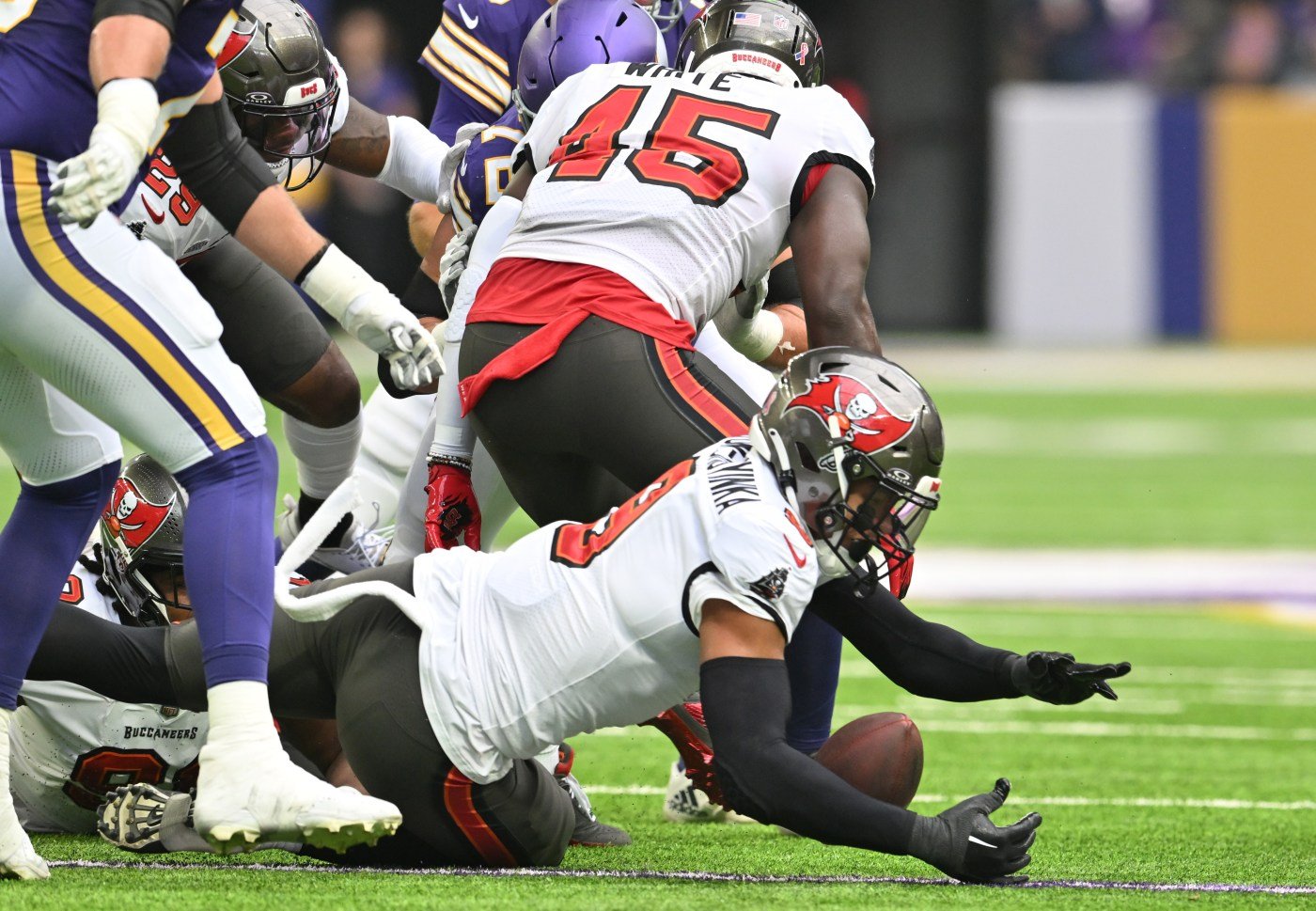 Vikings fall to Tampa Bay Bucs, 20-17, in season opener