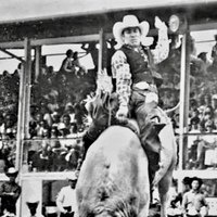 Walter “Walt” Vidol Hines