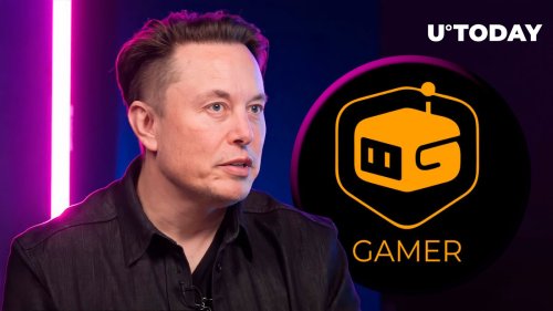 Elon Musk's Tweet Pushes This Gamer's Coin Price Up