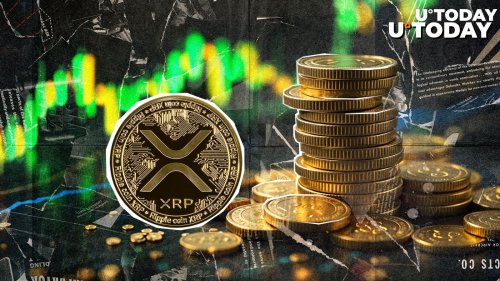 XRP Holders Urged to Mark Their Calendar for This Date