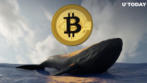 Monster Bitcoin (BTC) Purchase Mystifies Community