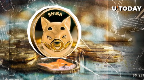 Shiba Inu to Lose Zero? Best Case Scenario Emerges