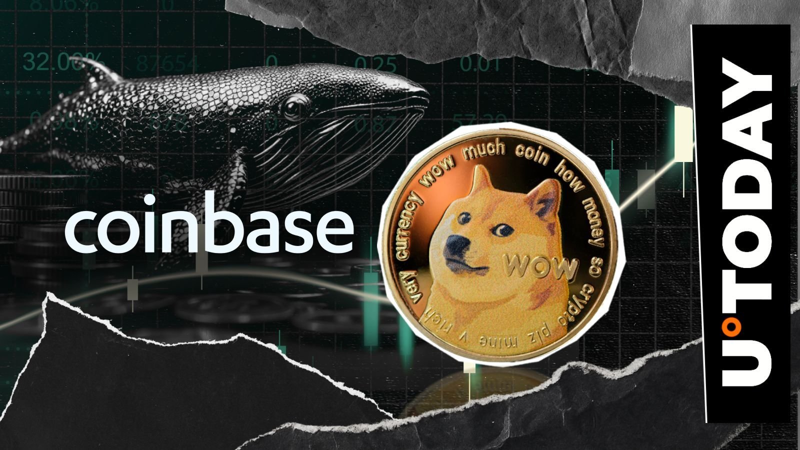 'Uptober' Prep in Full Swing: 196,799,056 DOGE Moved Amid Rising Whale Activity