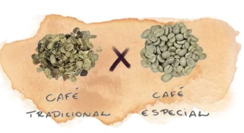 A diferença entre café tradicional e café especial - Territórios Gastronômicos